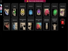 Anatomy Learning 3