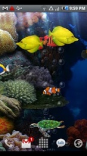 fond d'ecran gratuit aquarium qui bouge