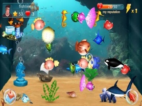 Fish Live 1