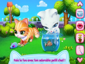 Mon petit Chat 2