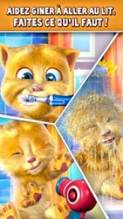 Talking Ginger 3