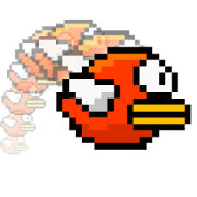 Funny Bird