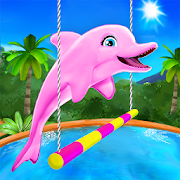 Dolphin Show