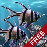 Le Vritable Aquarium