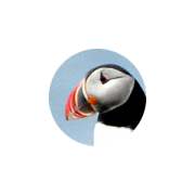 Ornidroid