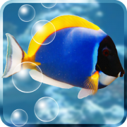 Télécharger Fond anim Aquarium